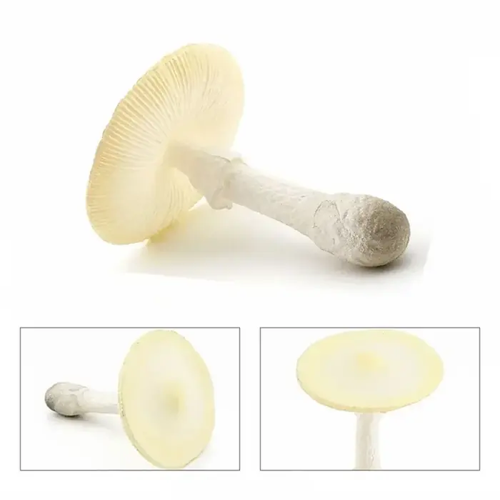 Image de Champignons Artificiels Décoratifs - Modèle Réaliste pour Jardin et Intérieur