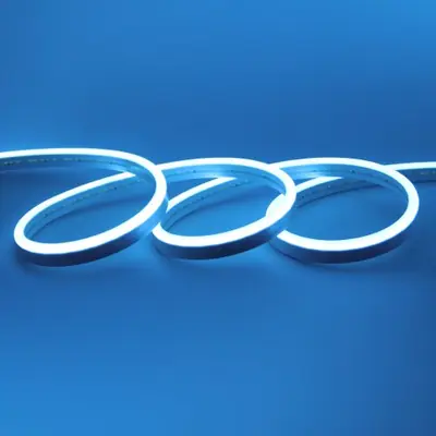 Image de Bande LED Neon Étanche 24V - 1m à 20m - Blanc, Bleu, Rose, Jaune, Vert, Orange