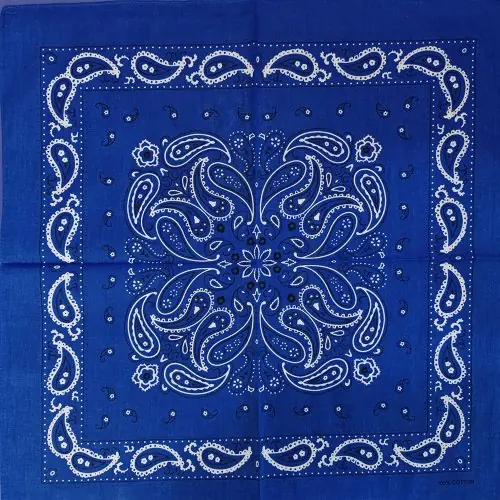 81 Blue 2