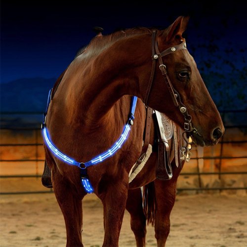 Imagen de Arnés LED Intermitente para Caballos - Iluminación Segura y Estética