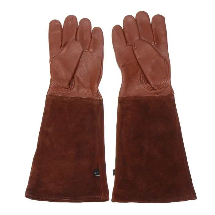 Marron