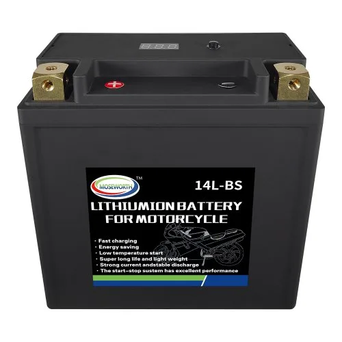 14L-BS P-N oplader