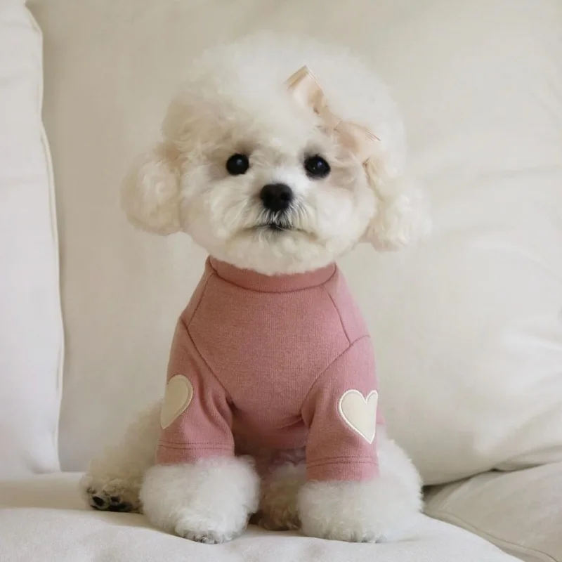Vue 5 du produit