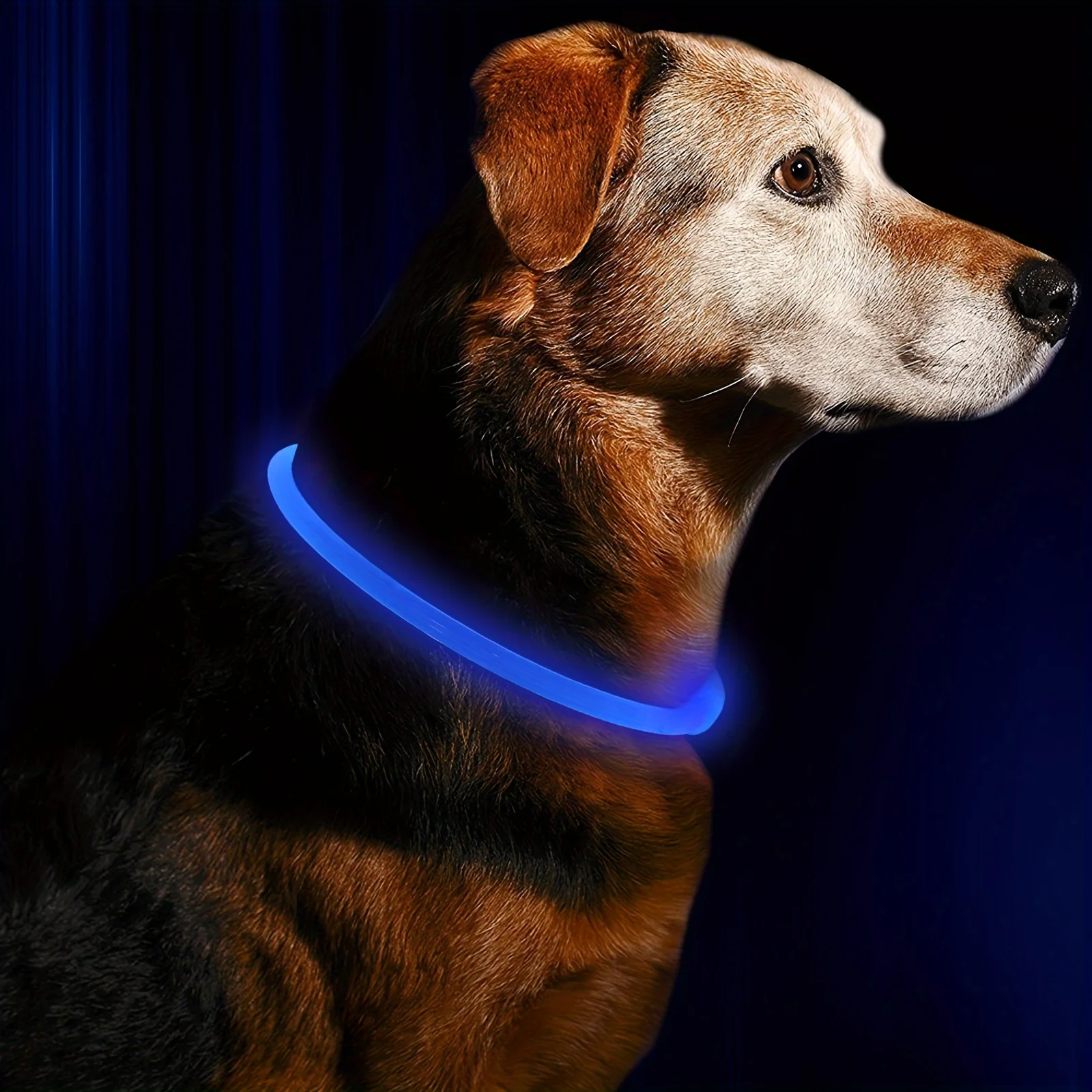 Afbeelding van Hond LED-lichthalsband lichtgevende anti-verloren halsband USB opladen hondenketting halsband groot medium klein