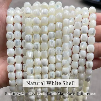 Image de Perles de Coquillage Trochus Naturelles - Bijoux Bricolage
