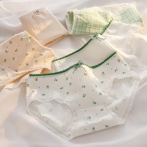 Image de Ensemble de 5 Culottes en Coton Doux avec Dentelle