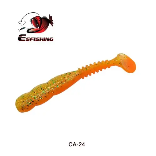 CA24