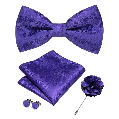 Image de Ensemble de Nœud Papillon Homme - Élégance & Raffinement