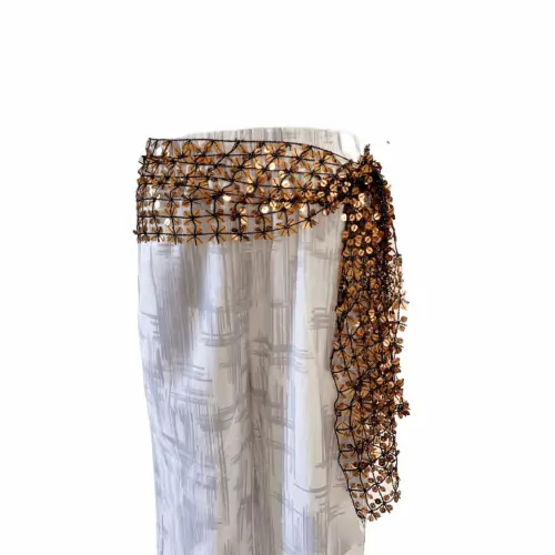 Image de Ceinture de Danse du Ventre Pailletée - Élégance en Mouvement