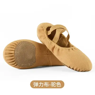 Image de Chaussures de Danse Souple pour Adultes et Enfants
