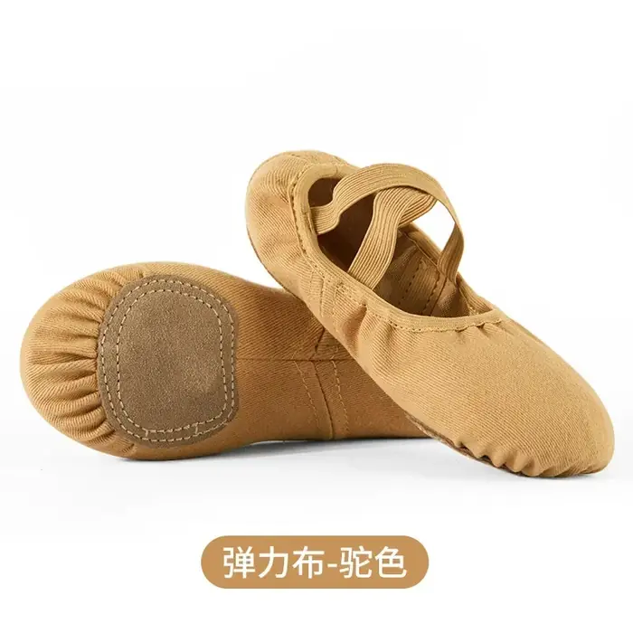 Image de Chaussures de Danse Souple pour Adultes et Enfants