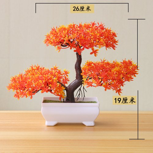 Vue 26 du produit
