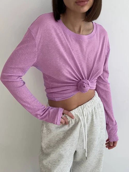 Rosa rot T