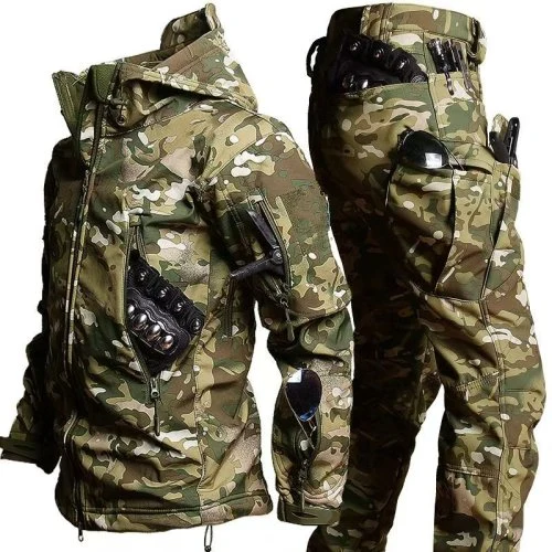 Verde CP