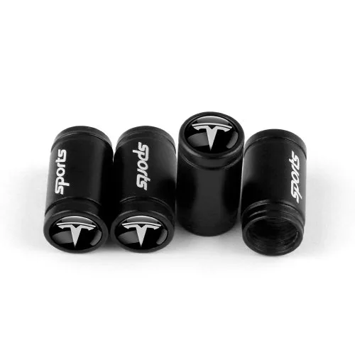 Ms-schwarz-tesla
