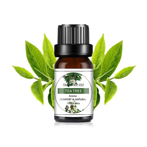 Vue 19 du produit