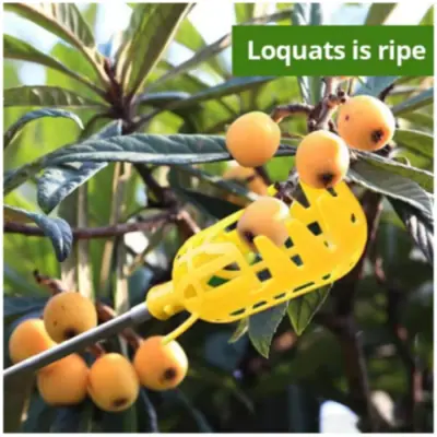 Image de Récolteur de Fruits Pratique - Panier Profond pour Pommes, Pêches
