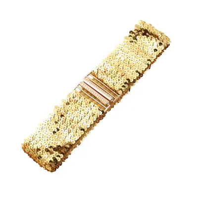 Image de Ceinture Pailletée Élastique avec Boucle Métallique - Accessoire de Mode