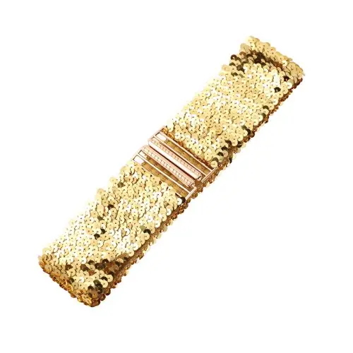 Image de Ceinture Pailletée Élastique avec Boucle Métallique - Accessoire de Mode