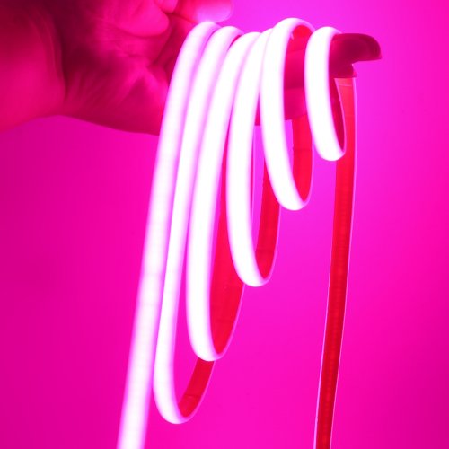 Roze
