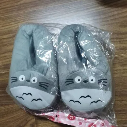 Totoro