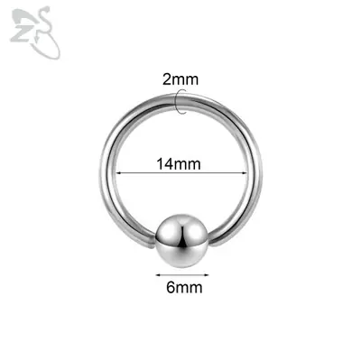 Image de Piercing Acier Inoxydable - Anneau Fer à Cheval pour Nez, Oreille & Septum
