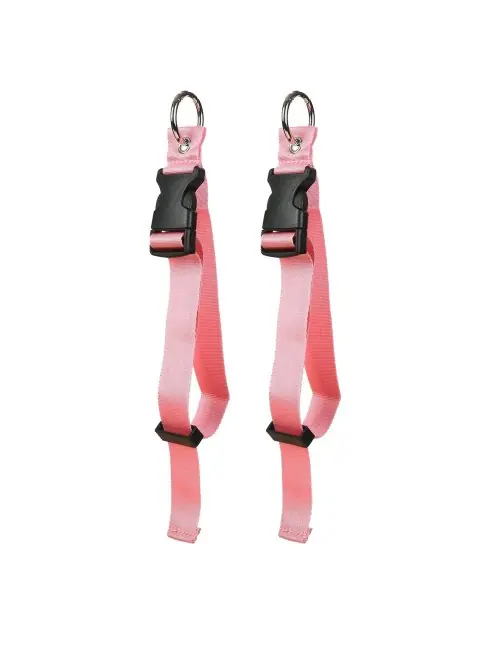 2pcs rose