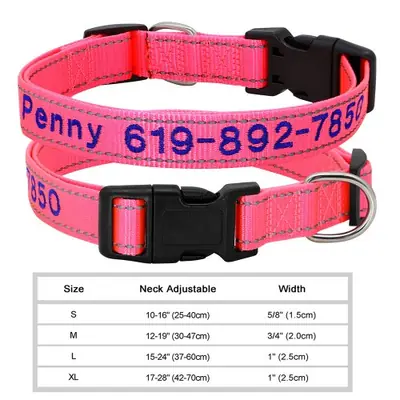 Image de Collier Chien Personnalisé - Nylon Réglable & Brodé