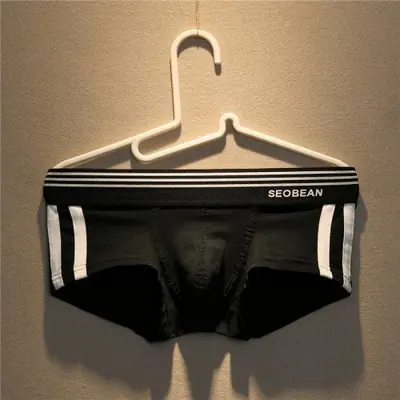 Image de Boxers Homme Coton Respirant - Coupe Ajustée & Sexy