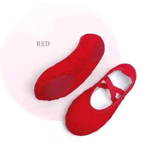 Image de Chaussures de Danse Classique & Moderne - Souple & Confortable