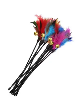 Image de Baguette Interactive Chat - Plume Colorée & Cloche