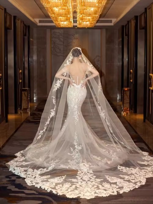 Image de Voile de Mariée Longue Cathédrale Blanc Ivoire avec Appliques