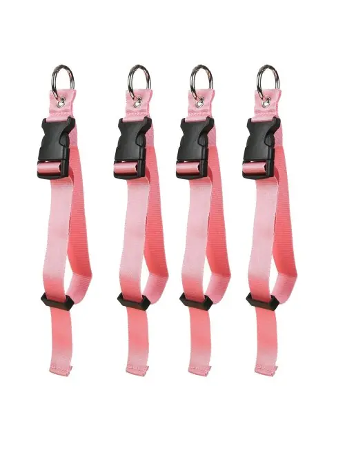 4pcs rose