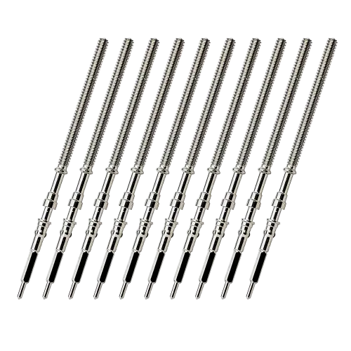 10PCS