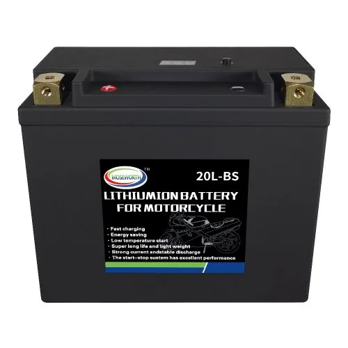 20L-BS P-N oplader