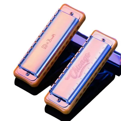 Image de Harmonica Diatonique 10 Trous - Orgue à Bouche Professionnel