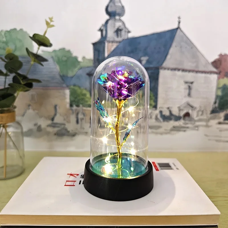 Vue 10 du produit