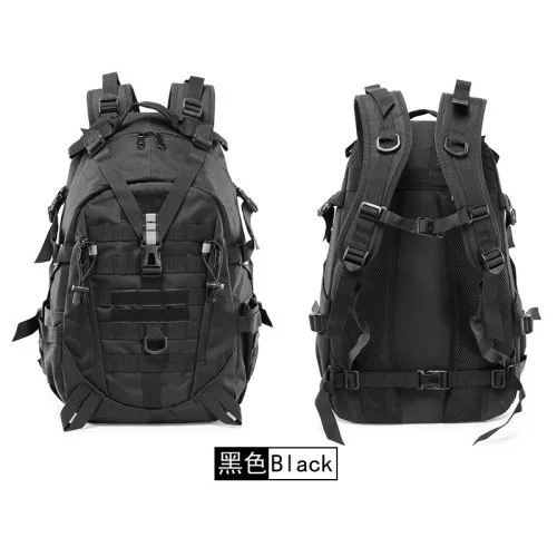 02(25L)