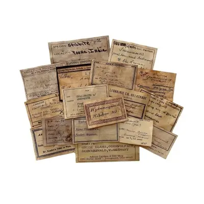 Image de Papier Teinté Café & Autocollants Créatifs