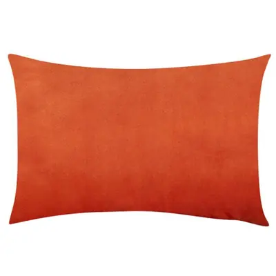 Image de Housses de Coussin Velours 30x50 cm - Déco Nordique