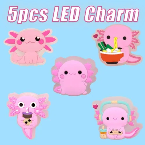 5PCS