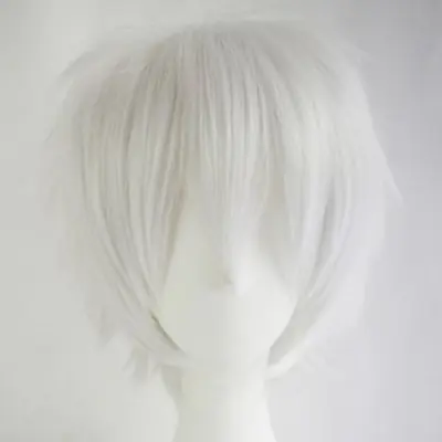 Image de Perruque Cosplay Homme - Cheveux Courts Retournés