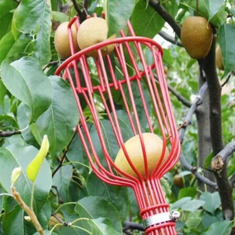 Afbeelding van Diepe Fruitplukkersmand met Handige Plukkop – Ideaal voor Appels, Perziken en Andere Tuinfruit