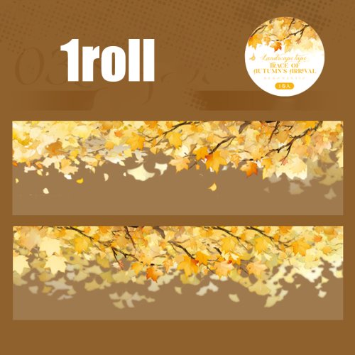 Vue 11 du produit