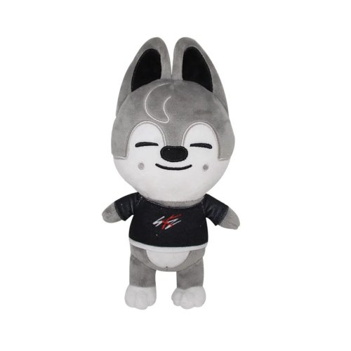 Vue 70 du produit