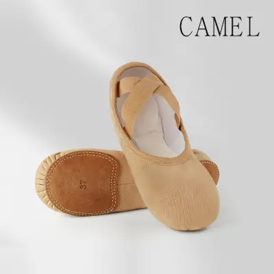 Image de Chaussures de Ballet Élastiques pour Danseurs