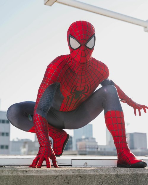 Bild von Spinnenheld Zentai-Anzug – Perfekter Halloween-Cosplay für Männer