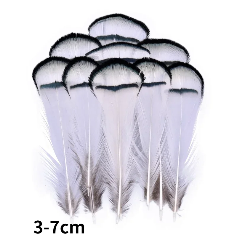 Vue 14 du produit