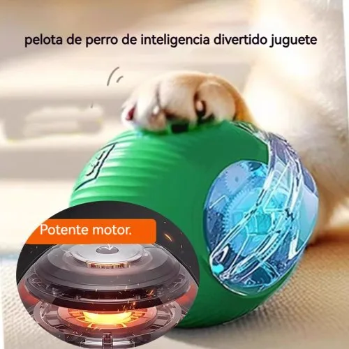 Vue 3 du produit