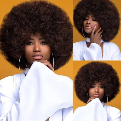 Image de Perruque Afro Bouclée Blonde & Marron des Années 70